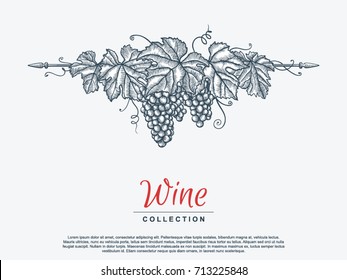 Hand drawn grape wreath. Template for your design works. Engraved style vector illustration.