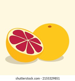 Hand Drawn Grapefruit Fresh Fruit, Tropical Fruit, Healthy Diet Fruit, Vector Design Illustrations.