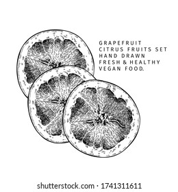 Hand drawn grapefruit fruit and leaf. Engraved vector illustration. Sweet citrus exotic plant. Summer harvest, jam or marmalade vegan ingredient. Menu, package, cosmetic, food design