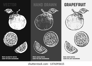 Hand drawn grapefruit icons set isolated on white, gray and black chalk background. Sketch of citrus fruits for packaging and menu design. Vintage vector illustration.