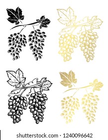Hand drawn grapes, design elements. Can be used for cards, invitations, scrapbooking, print, fabric, manufacturing, food themes. Golden fruits