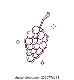 Uvas Dibujadas A Mano. Ilustración del esbozo del vector Doodle