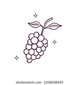 Hand Drawn Grapes. Doodle Vector Sketch Illustration