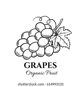 Hand drawn grapes icon. Vector badge fruit in the old ink style for brochures, banner, restaurant menu and market