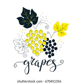 Hand drawn grapes illustration with lettering. Fresh natural fruit background. Vector banner, paster, package design. Natural food market. Organic design.