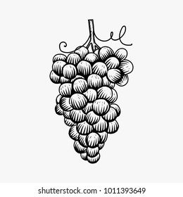 Hand drawn grapes logo design inspiration on white background