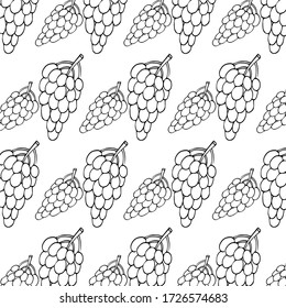 Hand drawn grapes pattern vector illustration wine vintage sketch harvest decoration wallpaper