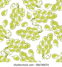 Hand drawn grapes seamless pattern background, vector illustration