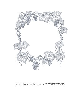 Hand drawn grapevine frame with leaves and grape clusters in vintage engraving style.  Vector illustration
