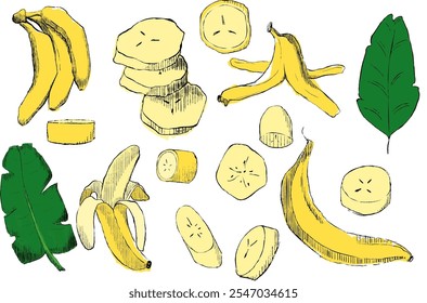 Banana desenhada à mão. Desenho simples de bananas inteiras, descascadas, fatiadas, cortadas, descascadas, folhas tropicais. Ilustração vetorial
