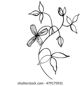 Hand drawn graphic flowers on white background