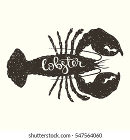 Hand drawn graphic illustration of the lobster in engraving style with hand lettering inscription