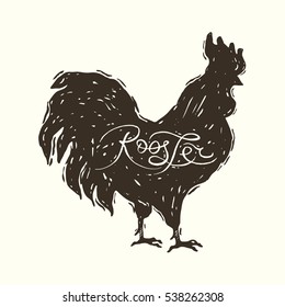 Hand drawn graphic illustration of the rooster