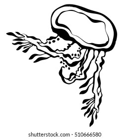 Hand drawn graphic jellyfish. Vector illustration with jellyfish. Isolated jellyfish on a white background.