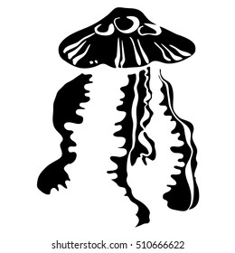 Hand drawn graphic jellyfish. Vector illustration with jellyfish. Isolated jellyfish on a white background.