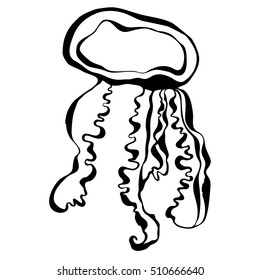 Hand drawn graphic jellyfish. Vector illustration with jellyfish. Isolated jellyfish on a white background.