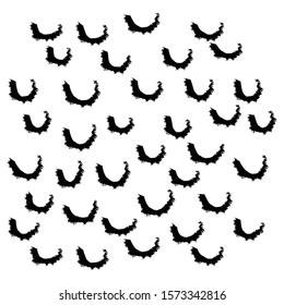 Hand drawn graphic monochrome elements 