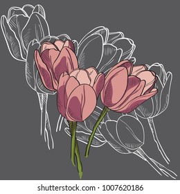 hand drawn and graphic purple spring tulips. vector illustration