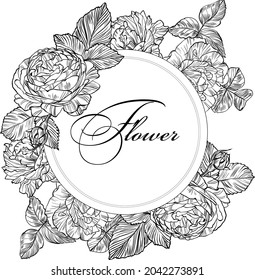 Hand drawn graphic rose bloom black