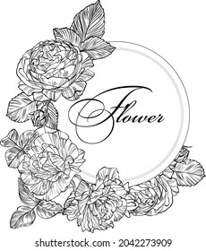 Hand drawn graphic rose bloom black