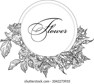 Hand drawn graphic rose bloom black