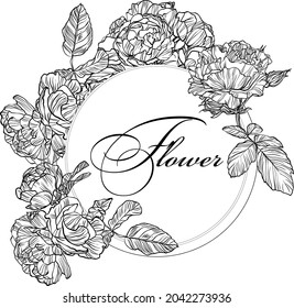 Hand drawn graphic rose bloom black