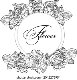 Hand drawn graphic rose bloom black