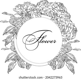 Hand drawn graphic rose bloom black
