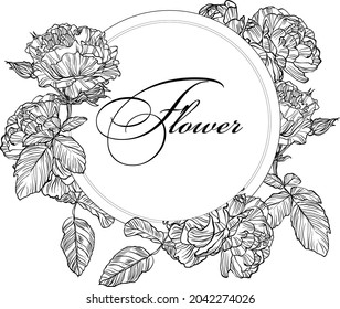 Hand drawn graphic rose bloom black