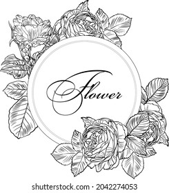 Hand drawn graphic rose bloom black
