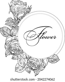 Hand drawn graphic rose bloom black