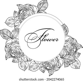 Hand drawn graphic rose bloom black