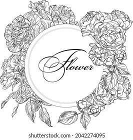 Hand drawn graphic rose bloom black