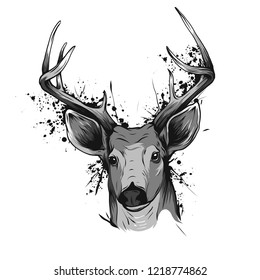 Hand drawn graphic sketch illustration of a deer head with big antlers, front view, vector wildlife poster.