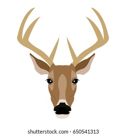 Hand drawn graphic sketch illustration of a deer head with big antlers, front view, vector wildlife poster.