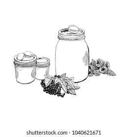 Hand drawn graphic sketch with jam jar and berries and fruits isolated on white background. Vector illustration.