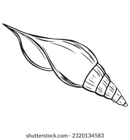 Hand Drawn Graphic Sketch of Seashell. Decorative graphic shell isolated on white