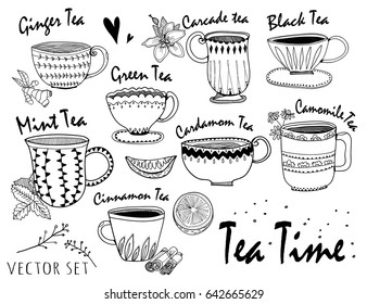 Hand drawn graphic tea cups. Various sorts of tea. Vector set