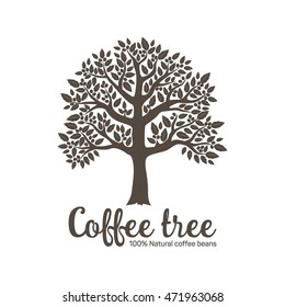 Hand drawn graphic tree with coffee beans. Vector illustration for labels, packs, logo design.