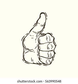 Hand drawn graphic vector illustration of the hand with thumb up