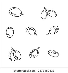 Hand drawn graphic, vector, ripe olives, olive branch and leaves. Organic food. Separate design elements for packaging and paper, product.