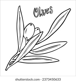 Hand drawn graphic, vector, ripe olives, olive branch and leaves. Organic food. Separate design elements for packaging and paper, product.