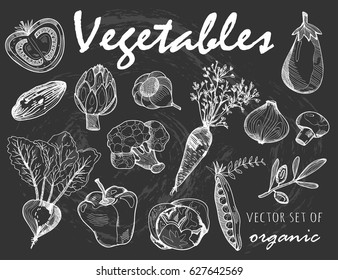 Hand drawn graphic vegetables. Chalk style vector set