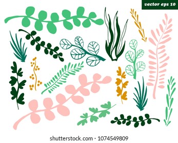 Hand drawn grass branches and leaves set. Spring or summer simple decorative elements for your designs. Vector isolated objects.