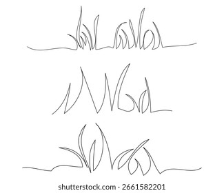 Hand drawn grass line sketch 