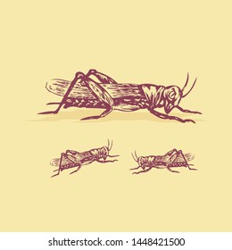 Hand Drawn Grasshopper Insect Vector