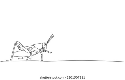 Hand drawn grasshopper. One line continuous grasshopper. Line art insect. Outline bug. Vector illustraiton isolated on white background.