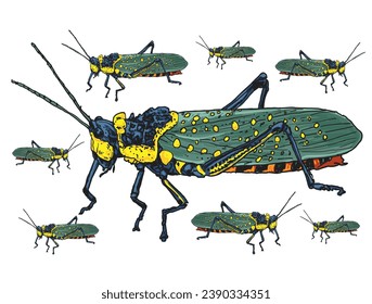 hand drawn grasshopper vector illustration