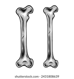 Hand drawn gray scale bones illustration