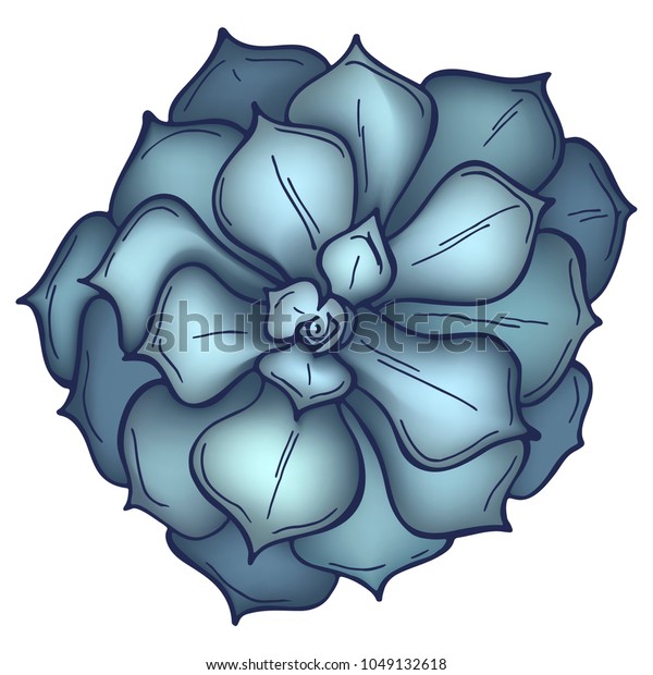Hand Drawn Gray Succulent Isolated On Stock Vector Royalty Free